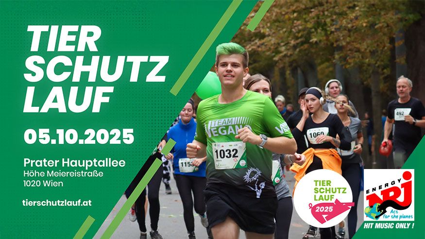 Tierschutzlauf 2025